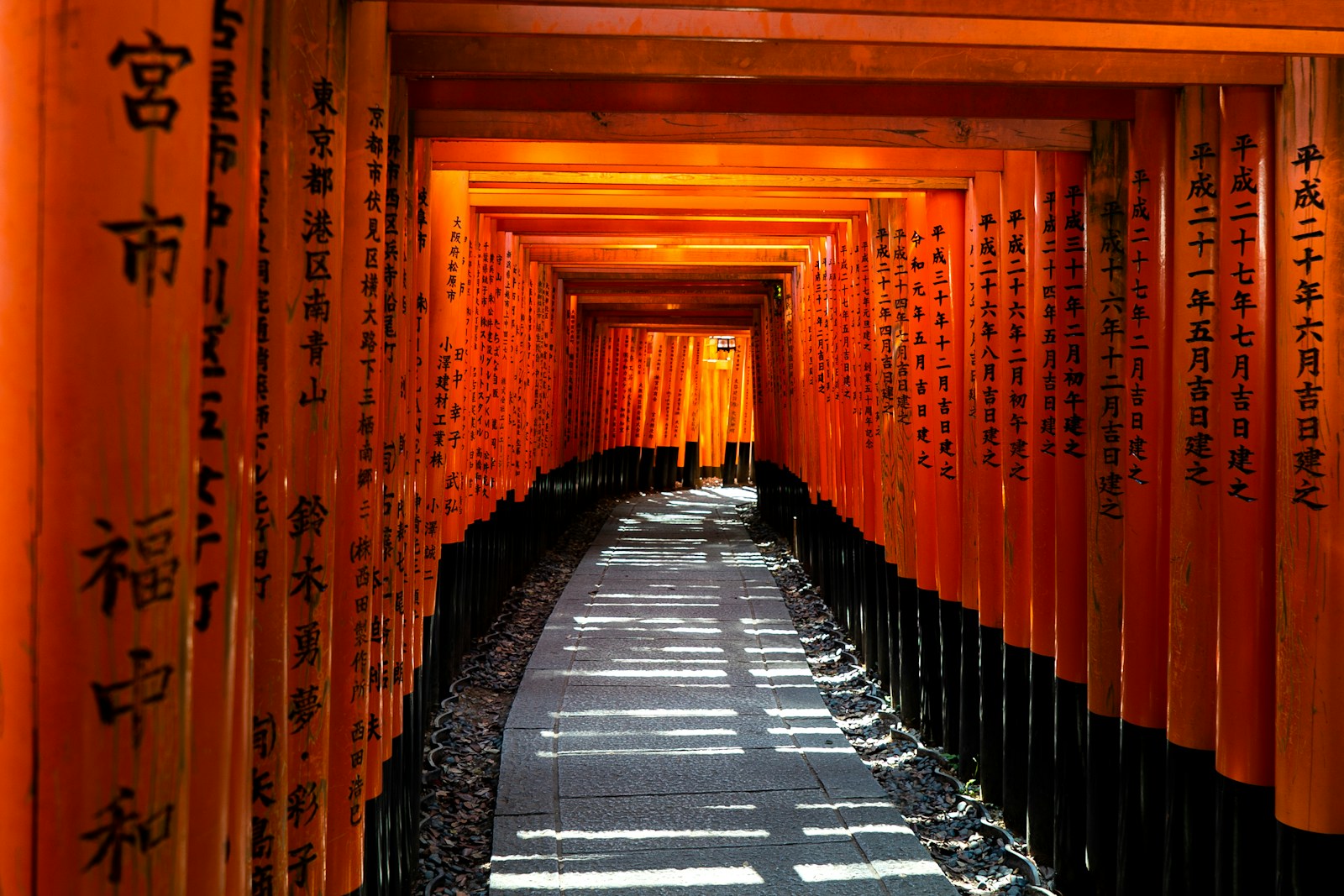 Sendero de puertas torii en Fushimi Inari, Kioto